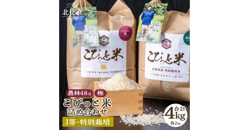 【ふるさと納税】 【令和6年度米】 米 精米 北杜市産 令和6年産 詰め合わせ セット 合計4kg こぴっと米 【極】 農林48号 1等特別栽培米 100％ 大粒 厳選 送料無料