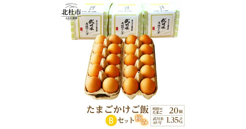 【ふるさと納税】 たまご お米 セット 極み卵かけご飯 明野のたまご 20個 武川米 農林48号 450g×3袋 山梨県 北杜市産 仕送りギフト