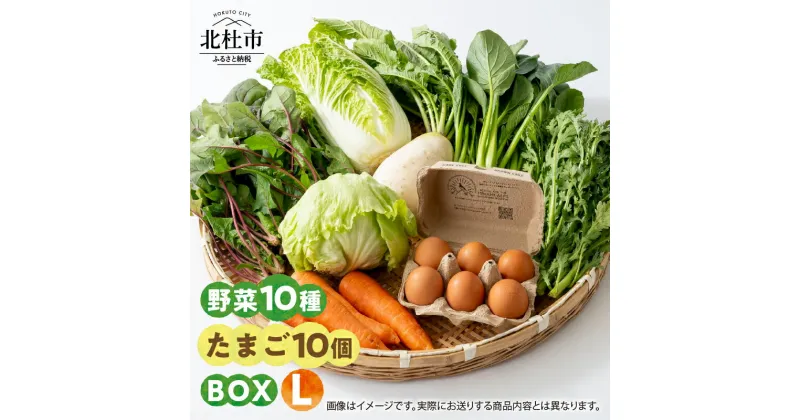 【ふるさと納税】 野菜 たまご セット 期間限定 野菜10種 平飼いたまご10個 農薬・化学肥料不使用 山梨県 北杜市産 仕送りギフト