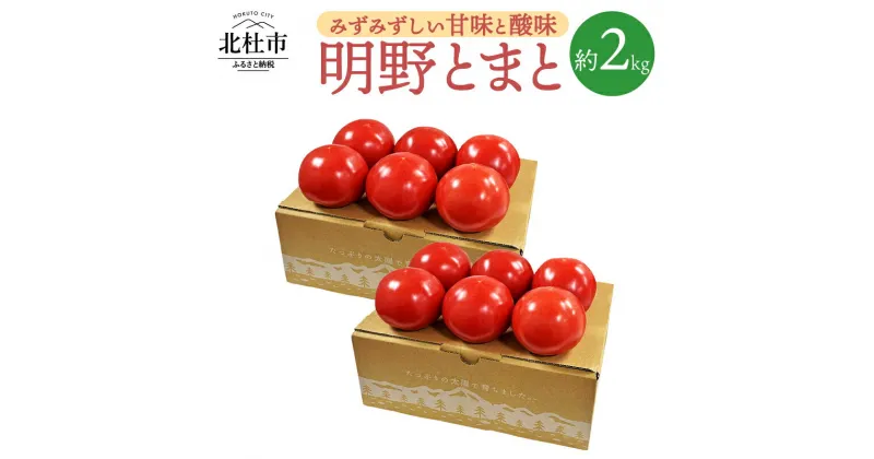 【ふるさと納税】 トマト 詰め合わせ 約2kg セット 新鮮 約1kg×2箱 明野とまと 九州屋ファーム 山梨県 北杜市 送料無料