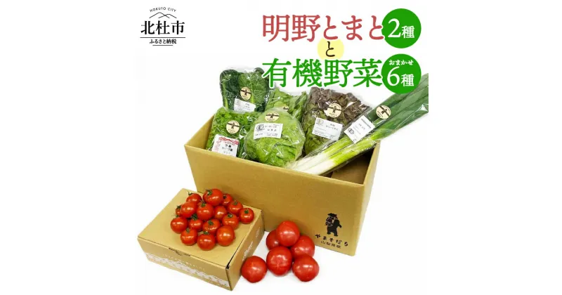 【ふるさと納税】 トマト 2種 有機野菜 おまかせ 6種 セット 新鮮 野菜 明野とまと 明野フルティカ 九州屋ファーム 山梨県 北杜市 仕送りギフト