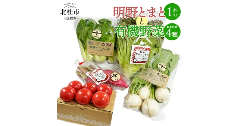 【ふるさと納税】 トマト 約1kg 有機野菜 おまかせ 4種 セット 新鮮 野菜 明野とまと 九州屋ファーム 山梨県 北杜市 仕送りギフト