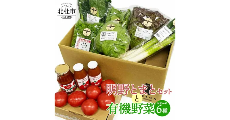 【ふるさと納税】 トマト ケチャップ ジュース 有機野菜 おまかせ 6種 バラエティセット 新鮮 野菜 明野とまと 九州屋ファーム 山梨県 北杜市 仕送りギフト