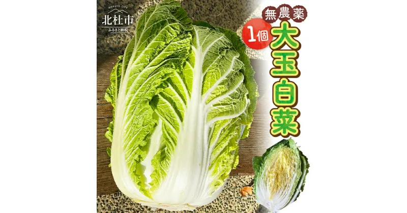 【ふるさと納税】【先行予約】 白菜 野菜 1個 大玉 無農薬 ぐーももファーム 山梨県 北杜市 南アルプス 白州 送料無料