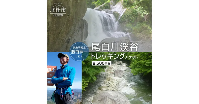 【ふるさと納税】旅行 トラベル チケット 渓谷 登山 トレッキング ツアー 尾白川渓谷 自然 滝 リフレッシュ アウトドア 山歩き 藤田紳一 金政権 パスタ ランチ 山梨県 北杜市 体験