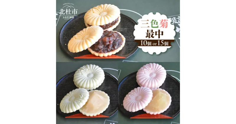 【ふるさと納税】 最中 和菓子 お茶菓子 セット 数量限定 選べる個数 計10個入り 計15個入り 小豆粒餡 白餡 柚子餡 贈答品 引菓子 お供え物 山梨県 北杜市 送料無料