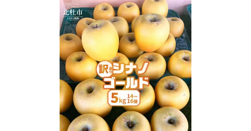 【ふるさと納税】 りんご 訳あり 2024年先行予約 山梨県産 シナノゴールド 期間限定 5kg 14個～16個 家庭用 規格外 フルーツ 果物 果実 山梨 北杜市 送料無料