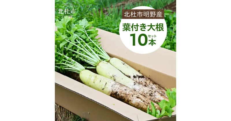 【ふるさと納税】 葉付き 大根 10本 セット 野菜 10kg程度 北杜市明野産 ダイコン 農薬不使用 有機肥料 新鮮 大根葉 生食 煮物 期間限定 山梨県 北杜市 送料無料