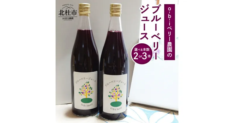 【ふるさと納税】 ブルーベリージュース 720ml 選べる本数 2本 3本 果汁飲料 ハイブッシュ ラビットアイ ブレンド 完熟 果物 ジュース 数量限定 ギフト 贈り物 O-B-Iベリ―農園 山梨県 北杜市産 送料無料