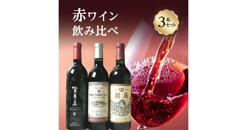 【ふるさと納税】山梨県産　甲斐市産　赤ワイン飲み比べ 3本セット｜日本ワイン 赤ワイン 登美の丘ワイナリー 家飲み お祝い（AD-34）　 お酒 赤ワインセット 宅飲み おうちディナー