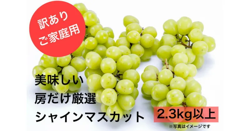 【ふるさと納税】【2025年-令和7年発送分☆先行予約☆】【訳あり】ご家庭用 シャインマスカット 2.3kg　 果物 ぶどう フルーツ デザート 食後 おやつ 旬の果物 旬のフルーツ 国産 　お届け：2025年9月中旬～10月上旬頃に順次発送予定