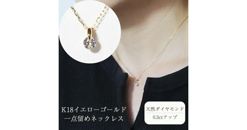 【ふるさと納税】K18 一点留め天然ダイヤモンドネックレス　 アクセサリー ジュエリー 装飾品 ファッション小物 普段使い おしゃれ 装飾品