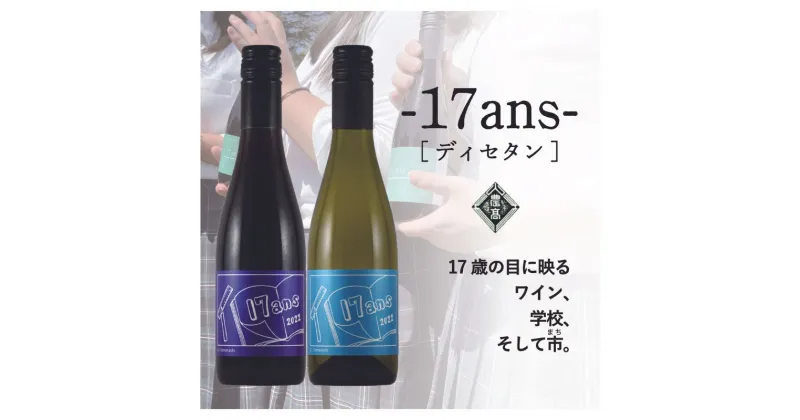 【ふるさと納税】農林高校ワイン　17ans　−ディセタン−2本セット　甲斐市 高校生 農林 ワイン 赤ワイン 白ワイン 家飲み ギフト チャレンジ 企画 日本ワイン（AD-250）　 赤ワイン 白ワイン お酒 ワイン セット 飲み比べ 甲斐市産