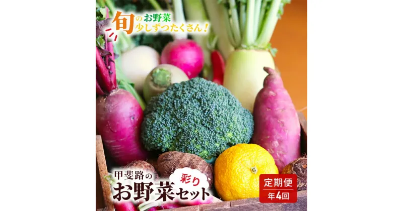 【ふるさと納税】【定期便・年4回】旬のお野菜を少しずつたくさん！甲斐路の彩りお野菜セット　定期便・ フルーツ 詰合せ 有機肥料 おまかせ 季節 支援 安心 新鮮 たっぷり