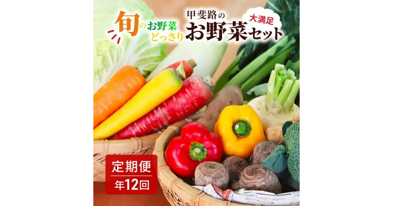 【ふるさと納税】【定期・年12回】旬のお野菜がどっさり！甲斐路の大満足お野菜セット　定期便・ フルーツ 詰合せ 有機肥料 おまかせ 季節 支援 安心 新鮮 たっぷり