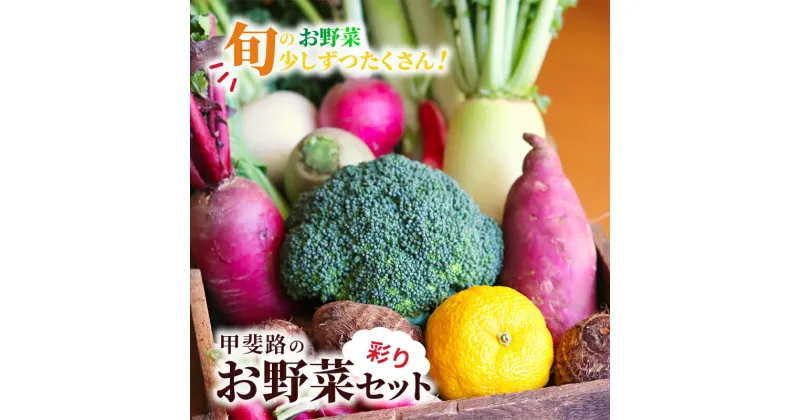 【ふるさと納税】旬のお野菜を少しずつたくさん！甲斐路の彩りお野菜セット　 フルーツ 詰合せ 有機肥料 おまかせ 季節 支援 安心 新鮮 たっぷり