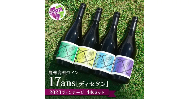 【ふるさと納税】農林高校ワイン17ans[ディセタン]2023ヴィンテージ4本セット　高校生ワイン 赤ワイン 白ワイン チャレンジ 企画 飲み比べ 農林ワイン 高校生 甲斐市(AD-292)