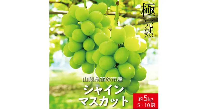 【ふるさと納税】＜25年発送先行予約＞☆絶品☆ シャインマスカット 5-10房約5.0kg ふるさと納税 おすすめ ランキング シャインマスカット 笛吹市 国産 人気 期間限定 ぶどう 葡萄 果物 甘い デザート おやつ 山梨県 送料無料 090-006