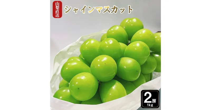 【ふるさと納税】【まだ間に合う24年発送】厳選!!池田青果のシャインマスカット1.0kg　2~3房 ふるさと納税 シャインマスカット 笛吹市 国産 人気 期間限定 ぶどう ブドウ 葡萄 旬 果物 フルーツ 山梨県 送料無料 先行予約 173-006