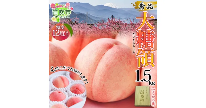 【ふるさと納税】＜25年発送先行予約＞桃 秀品 1.5kg 大糖領 糖度12％以上※クール便配送 ふるさと納税 もも 桃 笛吹市 国産 人気 期間限定 果物 フルーツ ギフト 贈り物 プレゼント 贈答品 旬 山梨県 送料無料 177-001