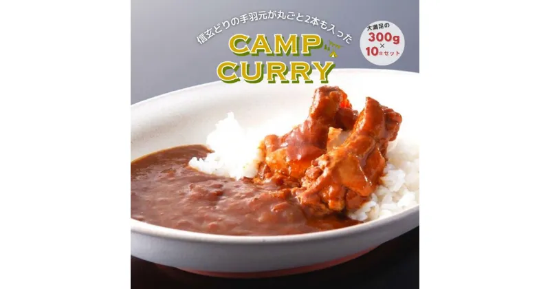 【ふるさと納税】【キャンプカレー】大容量300gのレトルトカレー10食セット！ ふるさと納税 カレー レトルト カレーライス キャンプ アウトドア 笛吹市 山梨県 送料無料 166-007