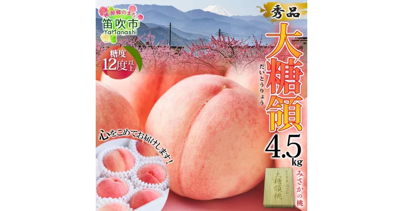 【ふるさと納税】＜25年発送先行予約＞桃 秀品 4.5kg 大糖領 糖度12％以上※クール便配送 ふるさと納税 もも 桃 笛吹市 国産 人気 期間限定 果物 フルーツ ギフト 贈り物 プレゼント 贈答品 旬 山梨県 送料無料 177-003