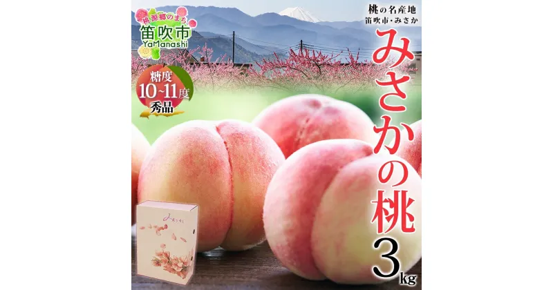 【ふるさと納税】＜25年発送先行予約＞桃 秀品 3kg 糖度10％以上 ※クール便配送 ふるさと納税 もも 桃 笛吹市 国産 人気 期間限定 果物 フルーツ ギフト 贈り物 プレゼント 贈答品 旬 山梨県 送料無料 177-005