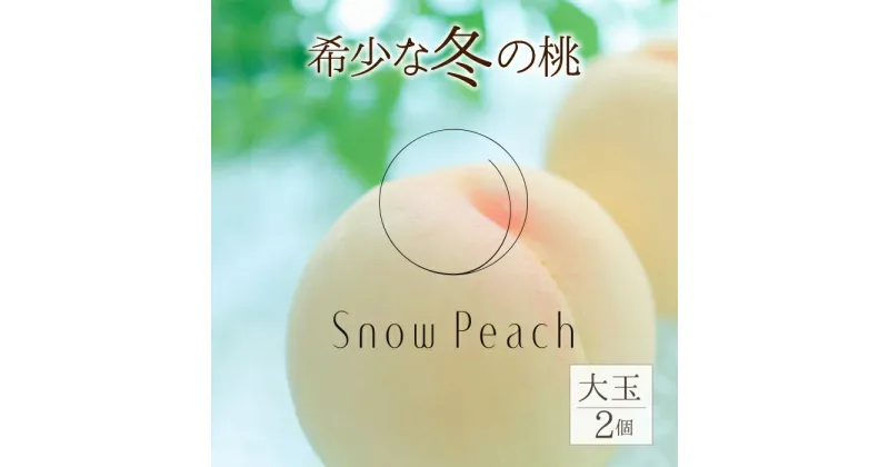 【ふるさと納税】＜2024年11月出荷＞Snow Peach （大粒2個入） ふるさと納税 もも 桃 笛吹市 国産 人気 期間限定 果物 フルーツ 旬 山梨県 送料無料 208-001