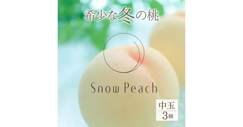 【ふるさと納税】＜2024年11月出荷＞Snow Peach（中粒3個入） ふるさと納税 もも 桃 笛吹市 国産 人気 期間限定 果物 フルーツ 旬 山梨県 送料無料 208-002