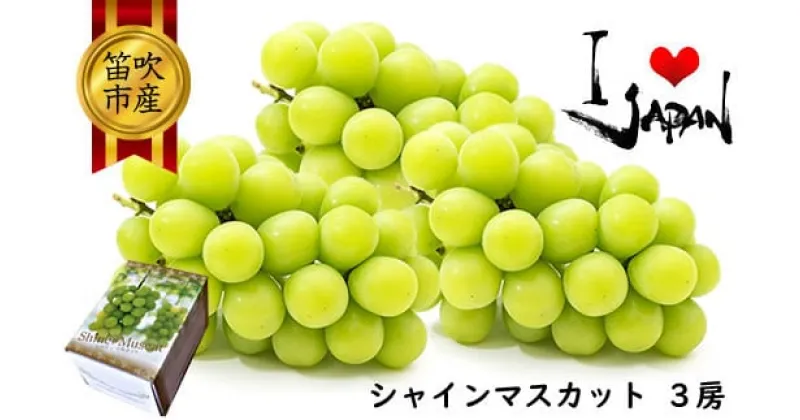 【ふるさと納税】＜25年発送先行予約＞厳選高級シャインマスカット1.5kg（3房） ふるさと納税 おすすめ ランキング シャインマスカット 笛吹市 国産 人気 期間限定 ぶどう ブドウ 葡萄 旬 果物 フルーツ デザート 山梨県 送料無料 082-012