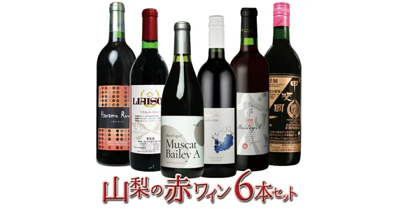 【ふるさと納税】山梨の赤ワイン6本セット ふるさと納税 ワイン 笛吹市 山梨ワイン 酒 アルコール 山梨県 記念品 お祝い 送料無料 127-021