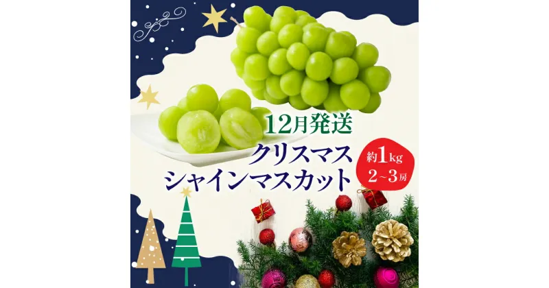 【ふるさと納税】＜2024年発送＞冬季限定！！ 山梨県笛吹市産 クリスマスシャインマスカット 約1.0kg 2〜3房 ふるさと納税 クリスマス シャインマスカット 笛吹市 国産 人気 期間限定 ぶどう ブドウ 葡萄 プレゼント 贈り物 果物 フルーツ 山梨県 送料無料 105-020