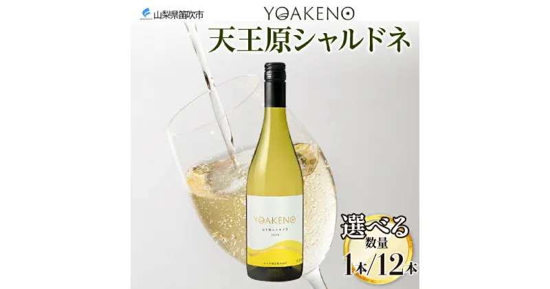 【ふるさと納税】YOAKENO 天王原シャルドネ 750ml 【選べる本数 1本or12本】 ふるさと納税ワイン シャルドネ 白ワイン 酒 果実酒 贈答 ギフト プレゼント 晩酌 宅飲み 家飲み キャンプ BBQ バーベキュー パーティー 熨斗 のし 名入れ不可 送料無料 山梨県 笛吹市 177-4-081