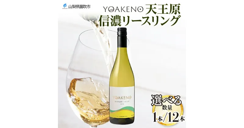 【ふるさと納税】YOAKENO天王原信濃リースリング 750ml 【選びえる本数 1本or12本】 ふるさと納税ワイン シャルドネ 白ワイン 酒 果実酒 贈答 ギフト プレゼント 宅飲み 家飲み BBQ バーベキュー パーティー 熨斗 のし 名入れ不可 送料無料 山梨県 笛吹市 177-4-082