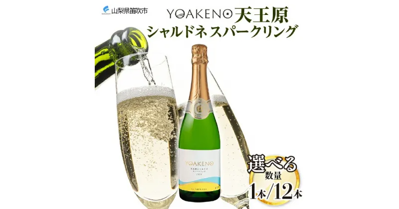 【ふるさと納税】YOAKENO 天王原 シャルドネ スパークリング 720ml 【選べる本数 1本 or 12本 】 ふるさと納税ワイン シャルドネ スパークリングワイン 酒 果実酒 ギフト プレゼント BBQ バーベキュー パーティー 熨斗 のし 名入れ不可 送料無料 山梨県 笛吹市 177-4-085