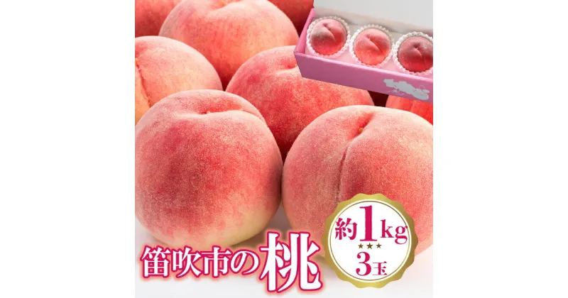 【ふるさと納税】＜25年発送先行予約＞桃 3玉入り(約1kg) ふるさと納税 おすすめ ランキング もも 桃 笛吹市 国産 人気 期間限定 果物 フルーツ 旬 山梨県 送料無料 222-009