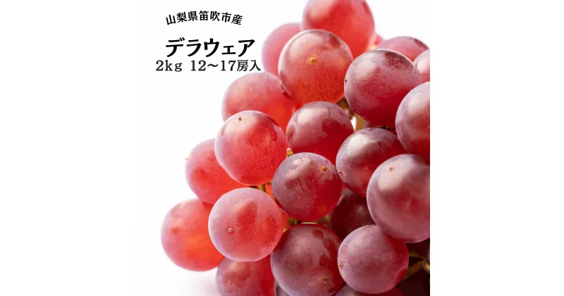 【ふるさと納税】＜25年発送先行予約＞笛吹市産デラウェア12～17房 2kg ふるさと納税 デラウェア 笛吹市 国産 人気 期間限定 ぶどう ブドウ 葡萄 旬 果物 フルーツ 山梨県 送料無料 167-051