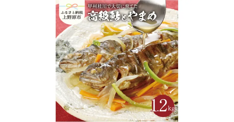 【ふるさと納税】 鮎 やまめ 魚 川魚 セット ギフト 和食 セット 甲州桂川の鮎と桂川のやまめ(Bセット) 贈答 贈り物 送料無料 ※沖縄県、離島不可 山梨県 上野原市