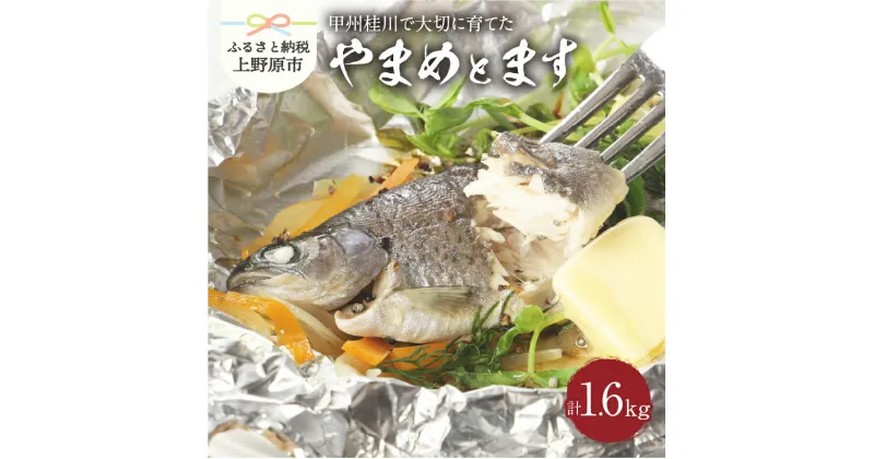 【ふるさと納税】 魚 川魚 やまめ ます セット ギフト 和食 セット 桂川 詰め合わせ 贈答 贈り物 送料無料 ※沖縄県、離島不可 山梨県 上野原市