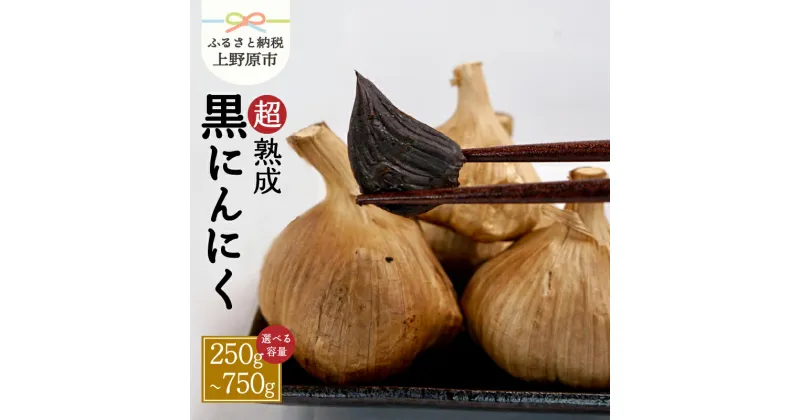 【ふるさと納税】 超熟成 黒にんにく 山梨県産 健康食品 1袋～3袋 250g 450g 750g 国産 談合坂 超熟 にんにく おやつ フルーツ のように 甘い 送料無料 山梨県 上野原市