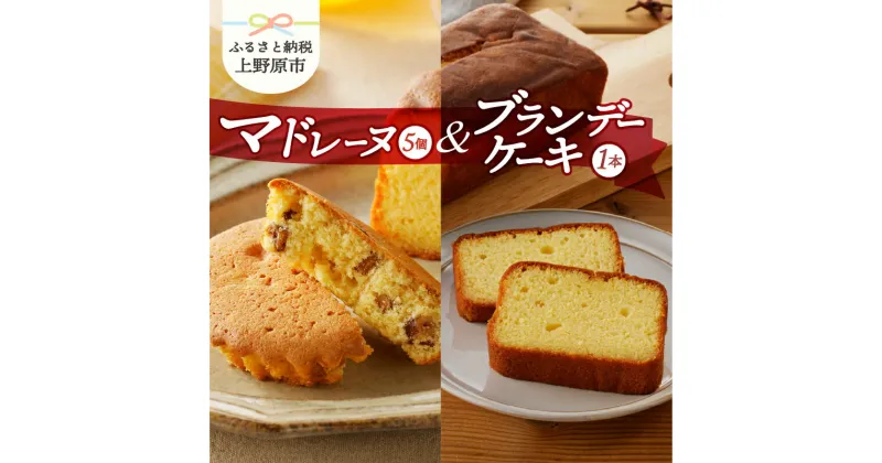 【ふるさと納税】 ＼大人のおやつにいかが？／ 焼き菓子 詰め合わせ マドレーヌ5個 ブランデーケーキ1本 スイーツ お菓子 洋菓子 おやつ デザート くるみ お取り寄せ 贈り物 ギフト プレゼント ギフト 送料無料 ※沖縄県、離島不可 山梨県 上野原市