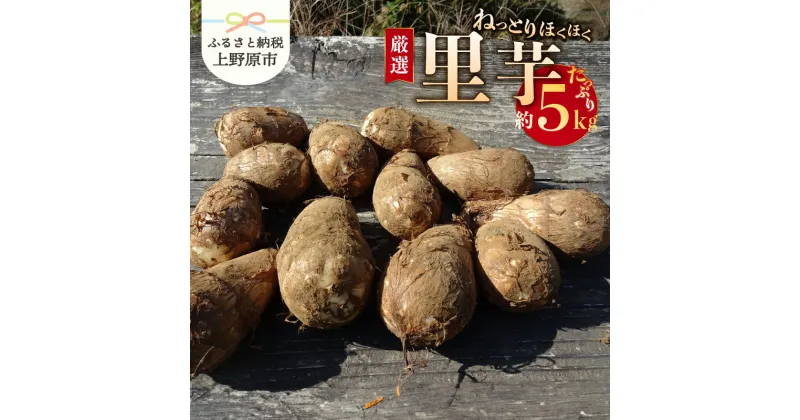 【ふるさと納税】 ◆先行予約◆ ＼山梨県産！数量限定／ 里芋 孫芋 5kg ねっとり やわらか 厳選 期間限定 野菜 化学肥料不使用 農薬不使用 農園直送 2024年度収穫 ギフト プレゼント お取り寄せ 贈り物 贈答 送料無料 上野原市