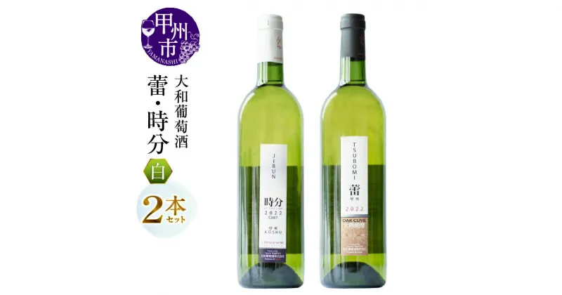 【ふるさと納税】 ワイン 2本 セット 白 大和葡萄酒 蕾 時分 飲み比べ やや辛口 辛口 国産ワイン 母の日 父の日 記念日 ギフト 山梨県 甲州市 （MG） 【B16-650】