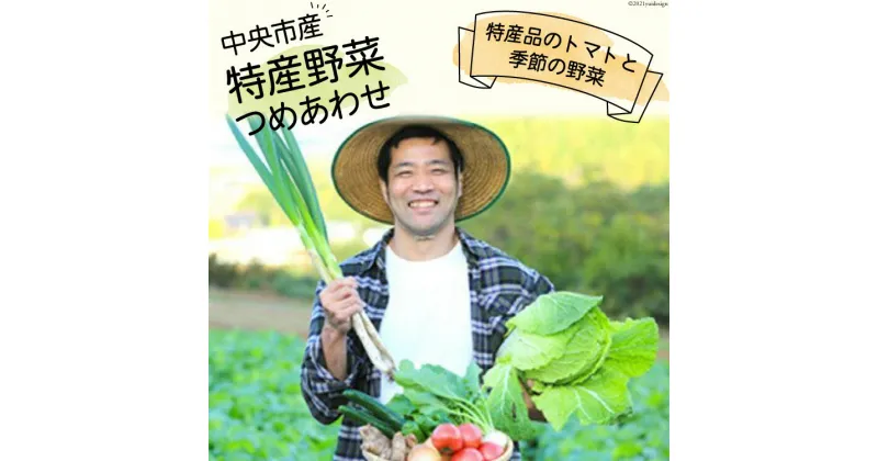 【ふるさと納税】中央市産 特産 野菜詰合せ トマトと季節の野菜詰め合わせ [た・から 山梨県中央市 21470011] 野菜 やさい 詰合せ とまと トマト ミニトマト きゅうり 玉ねぎ いも 野菜セット