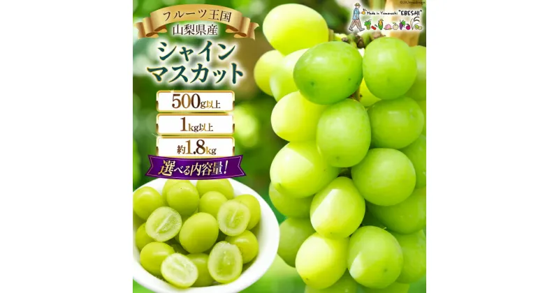 【ふるさと納税】【2025年発送】 ぶどう 山梨県産 シャインマスカット 選べる内容量 500g以上～約1.8kg(1房/2～3房) [えべし 山梨県 中央市 21470730y] フルーツ 果物 くだもの ブドウ シャイン マスカット 葡萄 種なし