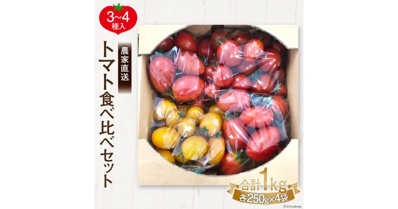 【ふるさと納税】【先行受付】新鮮 採れたて トマト 食べ比べセット 1kg（250g×4袋） [ マルヨシ園芸 山梨県 中央市 21470547 ] とまと 野菜 食べ比べ 1キロ 季節限定 数量限定