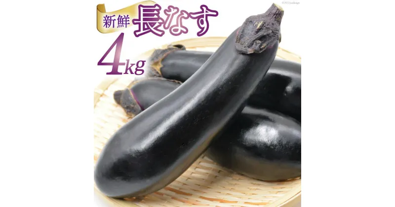 【ふるさと納税】【期間限定発送】 野菜 長ナス 33～39本前後 4kg箱 [ラハマン農園 山梨県 中央市 21470840] ナス なす 茄子 やさい 大容量 期間限定 季節限定 数量限定 産地直送