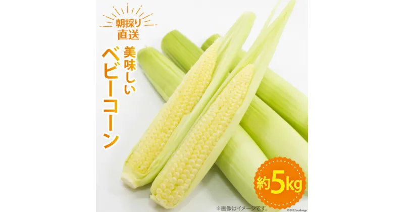 【ふるさと納税】【期間限定発送】 野菜 ベビーコーン 約5kg [ラハマン農園 山梨県 中央市 21470819] トウモロコシ とうもろこし ベビーコーン ヤングコーン 大容量 期間限定 季節限定 数量限定 産地直送