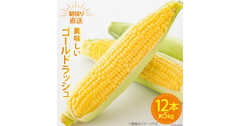 【ふるさと納税】【期間限定発送】 野菜 ゴールドラッシュ 12本 約5kg [ラハマン農園 山梨県 中央市 21470839] トウモロコシ とうもろこし やさい 期間限定 季節限定 数量限定 産地直送