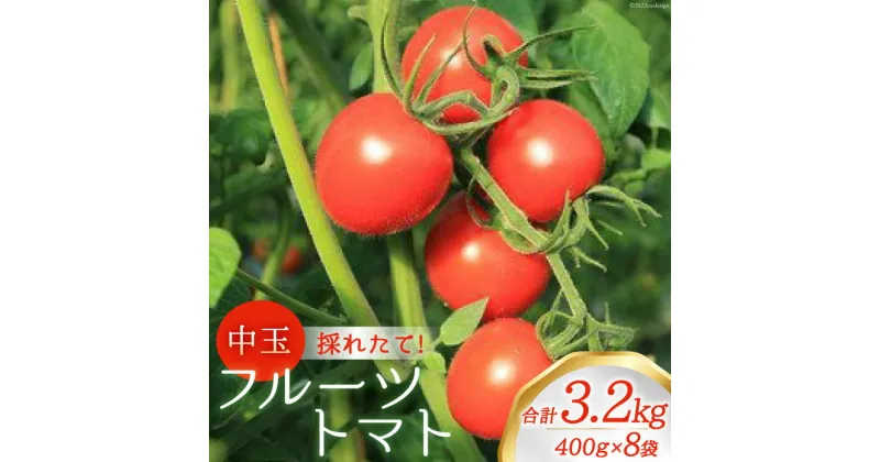 【ふるさと納税】新鮮！中玉フルーツトマト400g×8袋 山梨県中央市より、採れたてを発送 [農事組合法人 た・から 山梨県 中央市 21470737] とまと トマト フルーツトマト 中玉トマト 野菜